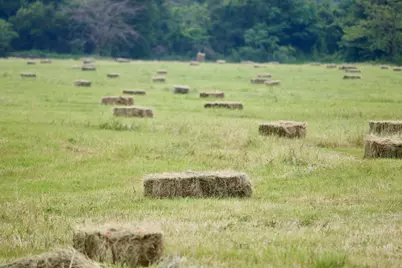 1965 Fm-933, Aquilla, TX 76622 - Photo 11