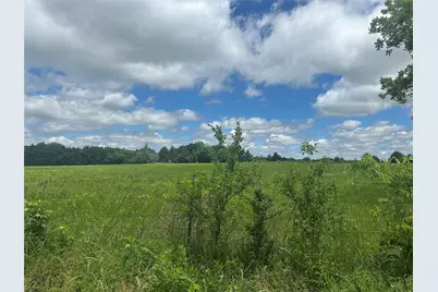 Lot 10 County Road 1400, Ravenna, TX 75476 - Photo 11