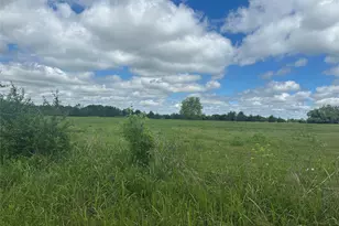 Lot 10 County Road 1400, Ravenna, TX 75476 - Photo 1