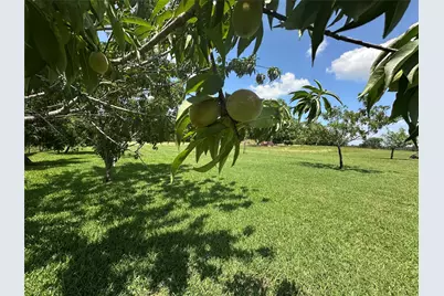 12090 W Fm 346, Bullard, TX 75757 - Photo 27