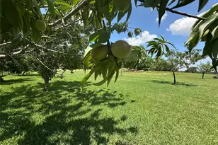 12090 W Fm 346, Bullard, TX 75757 - Photo 27