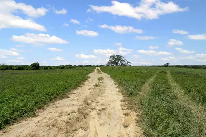 1950 Cold Springs Rd, Weatherford, TX 76088 - Photo 33