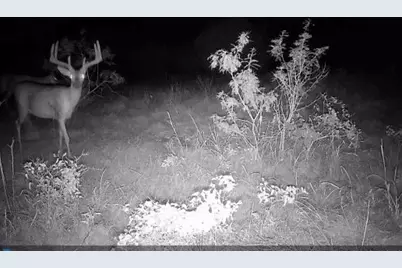 0 Cr 286, Gustine, TX 76455 - Photo 1