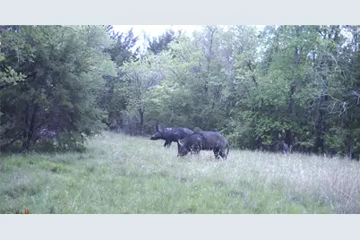 0 Cr 286, Gustine, TX 76455 - Photo 27