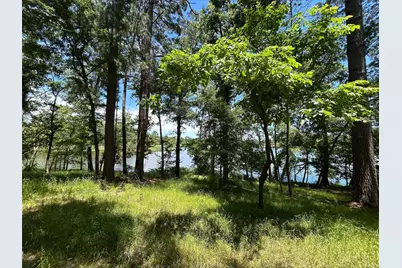 Lot Tr 5B Stevenson Rd, Frankston, TX 75763 - Photo 3