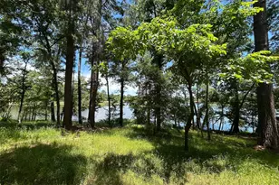 Lot Tr 5B Stevenson Rd, Frankston, TX 75763 - Photo 3