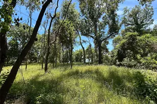 Lot Tr 5B Stevenson Rd, Frankston, TX 75763 - Photo 15