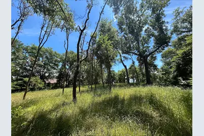 Lot Tr 5B Stevenson Rd, Frankston, TX 75763 - Photo 9