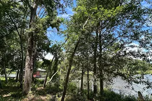 Lot Tr 5B Stevenson Rd, Frankston, TX 75763 - Photo 17