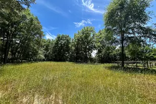 Lot Tr 5B Stevenson Rd, Frankston, TX 75763 - Photo 5