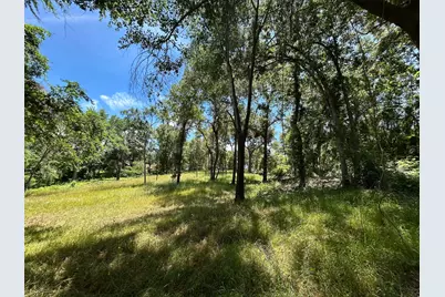 Lot Tr 5B Stevenson Rd, Frankston, TX 75763 - Photo 1