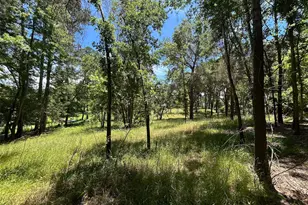 Lot Tr 5B Stevenson Rd, Frankston, TX 75763 - Photo 13