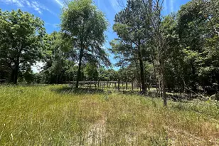 Lot Tr 5B Stevenson Rd, Frankston, TX 75763 - Photo 11