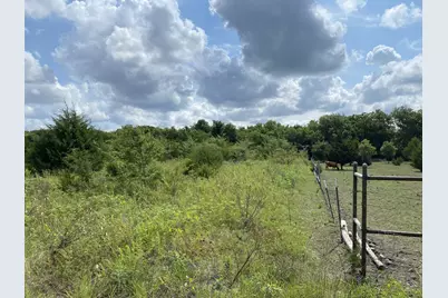 2774 Cr 658, Farmersville, TX 75442 - Photo 13
