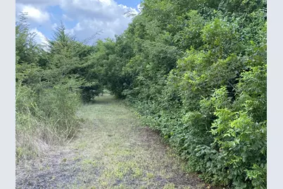 2774 Cr 658, Farmersville, TX 75442 - Photo 7