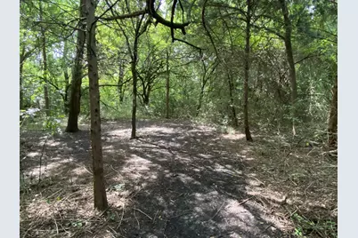 2774 Cr 658, Farmersville, TX 75442 - Photo 5