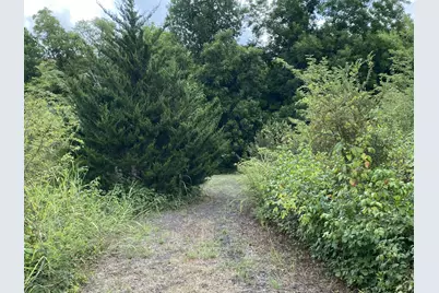 2774 Cr 658, Farmersville, TX 75442 - Photo 9