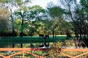 783 Co Rd 4420, Whitewright, TX 75491 - Photo 27