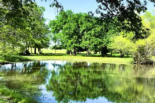 783 Co Rd 4420, Whitewright, TX 75491 - Photo 21