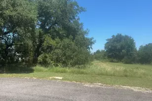 32020 Dove Trail, Whitney, TX 76692 - Photo 1