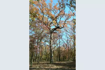 9122 Safari Bluff, LaRue, TX 75770 - Photo 23