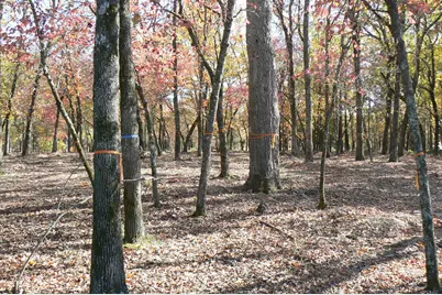 9122 Safari Bluff, LaRue, TX 75770 - Photo 21