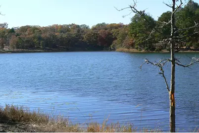 9122 Safari Bluff, LaRue, TX 75770 - Photo 3