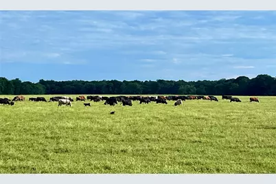 4798 E Fm 198, Lake Creek, TX 75450 - Photo 5