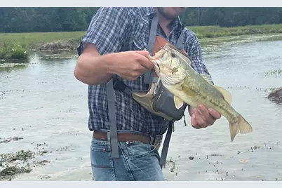 4798 E Fm 198, Lake Creek, TX 75450 - Photo 11