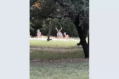 131 County Road 1544, Morgan, TX 76671 - Photo 31