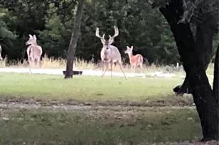 131 County Road 1544, Morgan, TX 76671 - Photo 31