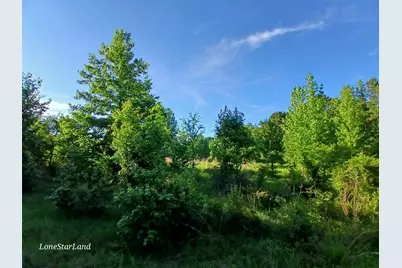475 County Road 4421, Pittsburg, TX 75686 - Photo 25