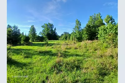 475 County Road 4421, Pittsburg, TX 75686 - Photo 21