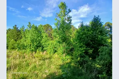 475 County Road 4421, Pittsburg, TX 75686 - Photo 17