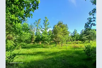 475 County Road 4421, Pittsburg, TX 75686 - Photo 11