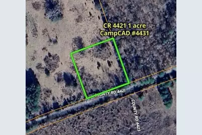 475 County Road 4421, Pittsburg, TX 75686 - Photo 29