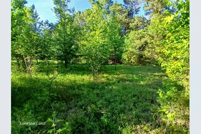 475 County Road 4421, Pittsburg, TX 75686 - Photo 27