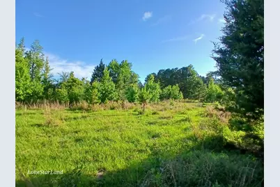 475 County Road 4421, Pittsburg, TX 75686 - Photo 13