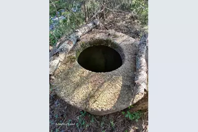 475 County Road 4421, Pittsburg, TX 75686 - Photo 3