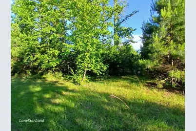 475 County Road 4421, Pittsburg, TX 75686 - Photo 23