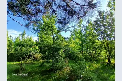 475 County Road 4421, Pittsburg, TX 75686 - Photo 11