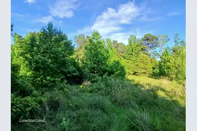 475 County Road 4421, Pittsburg, TX 75686 - Photo 15