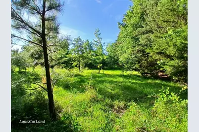 475 County Road 4421, Pittsburg, TX 75686 - Photo 7