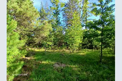 475 County Road 4421, Pittsburg, TX 75686 - Photo 5