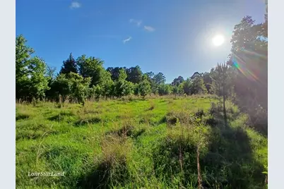475 County Road 4421, Pittsburg, TX 75686 - Photo 5
