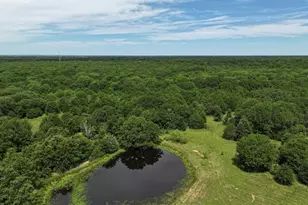 000 Fm 148, Scurry, TX 75158 - Photo 3