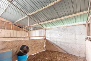 3017 Co Rd 154, Tuscola, TX 79562 - Photo 31