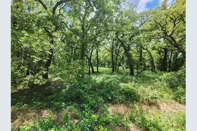 167 Chisholm Trail, Nocona, TX 76255 - Photo 11