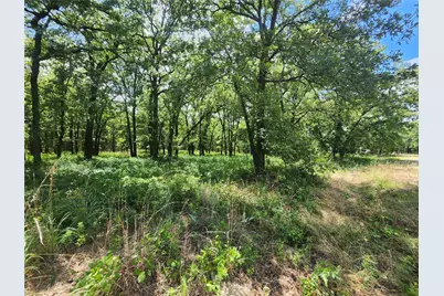 167 Chisholm Trail, Nocona, TX 76255 - Photo 9