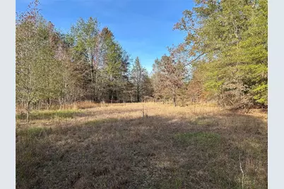 Tract A County Road 1412, Bogata, TX 75426 - Photo 7